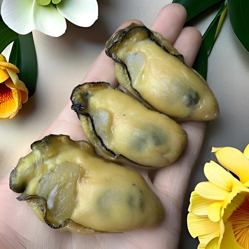 【台山金蚝干】35头左右 5-6称干 无抽油 速冻冷链发货