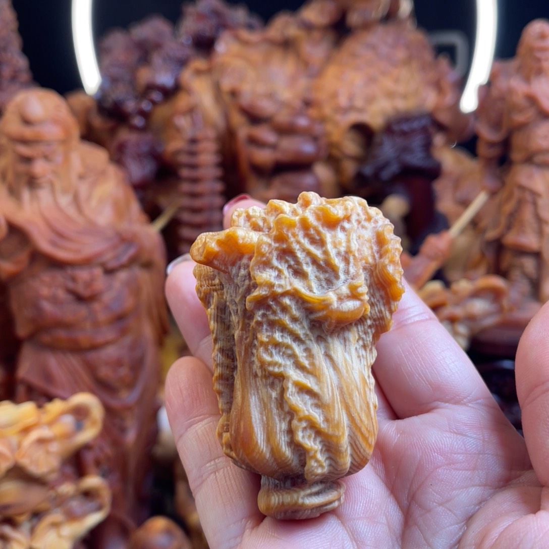 松木（琥珀木）其他白菜