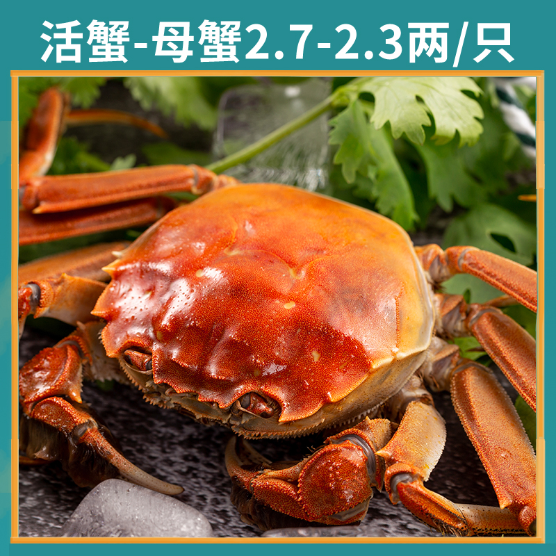 【活蟹】精品全母大闸蟹2.7-2.3两/只 绑腿 