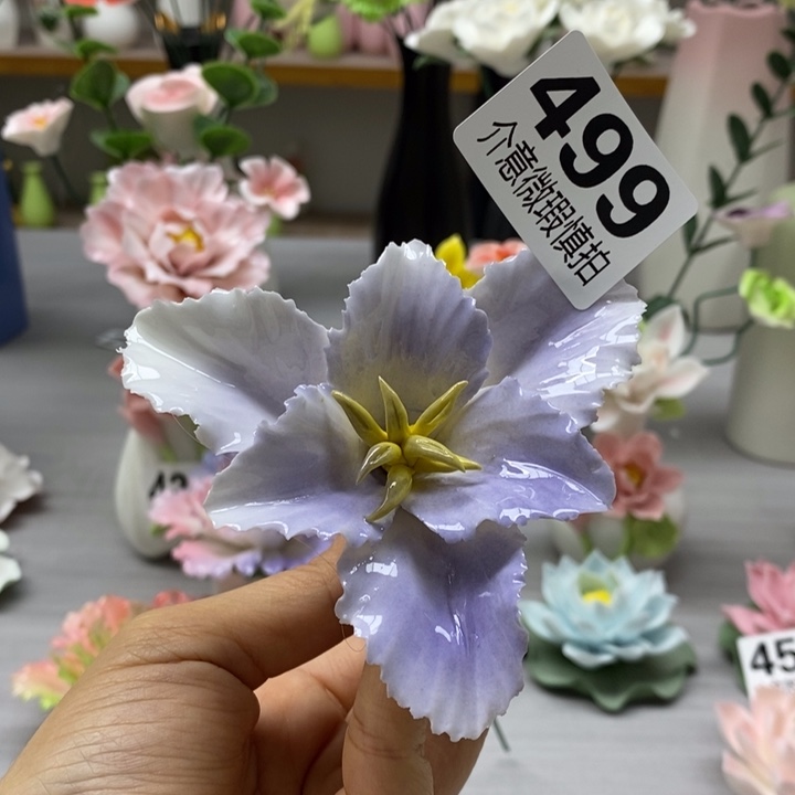 陶瓷陶瓷材料加工