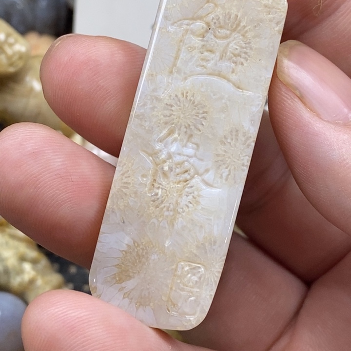硅化珊瑚（珊瑚玉）未镶嵌颈饰有瑕