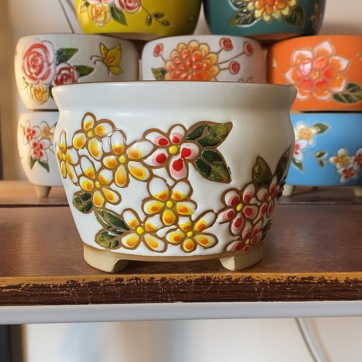 韩式多肉植物花盆