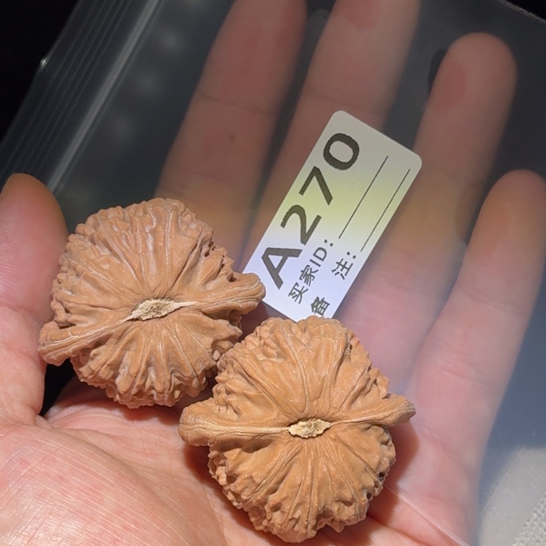 吊坠文玩核桃白狮子270