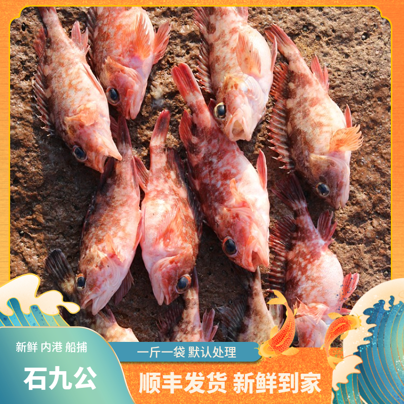 福建船捕【石九公】冻品不售后