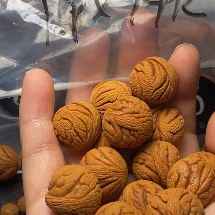 桃核吊坠秦岭山野生桃核