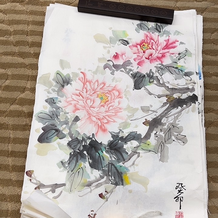 国画花鸟的翅膀和翅膀是