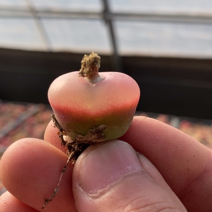 29134一个一个一个