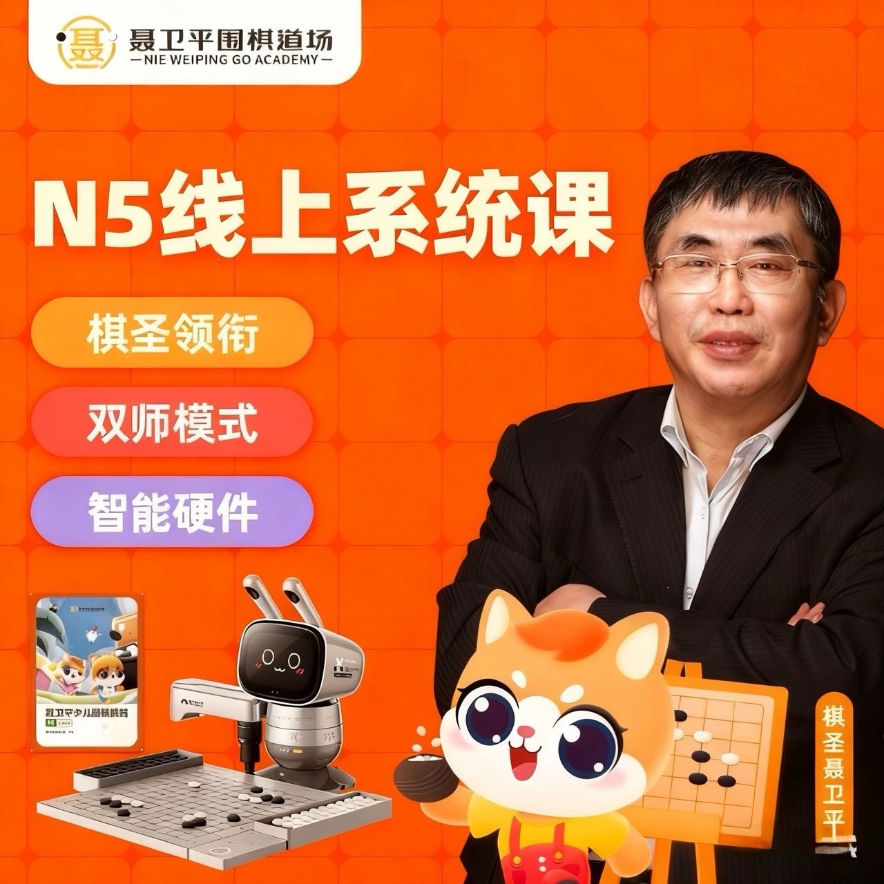 【下单查看短信填写地址】聂道官方-N5-聂卫平围棋道场-线上围棋班
