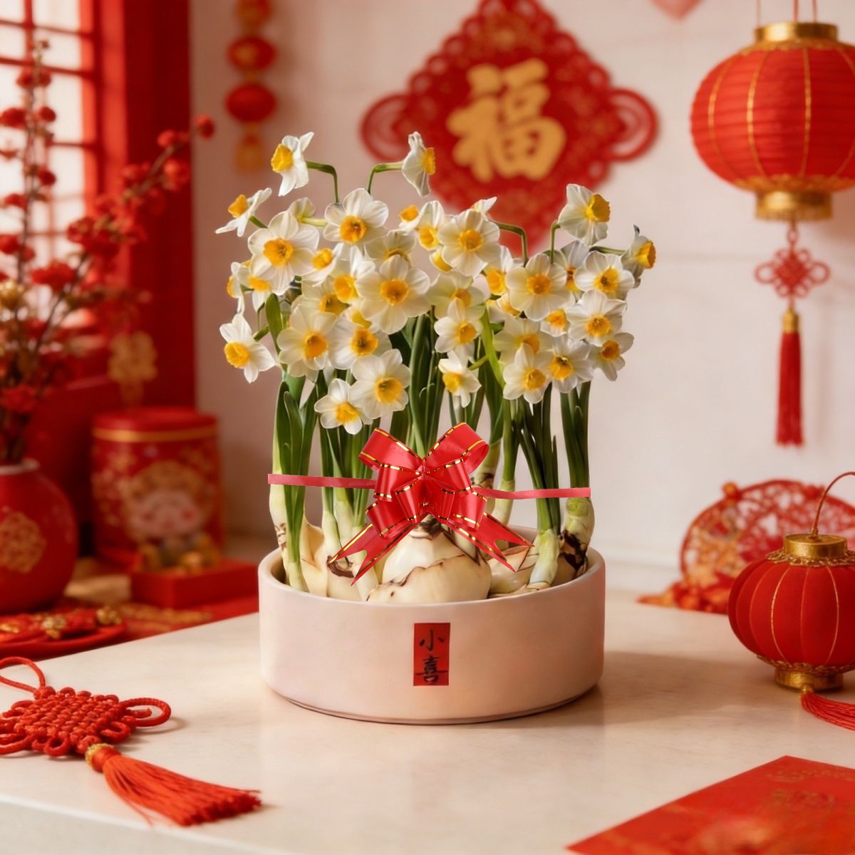 【6-8颗球小喜陶瓷盆】漳州水仙花年宵花带芽点开花水培室内外绿植