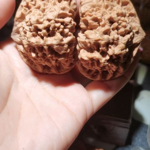 猴头核桃吊坠55龙鼎官