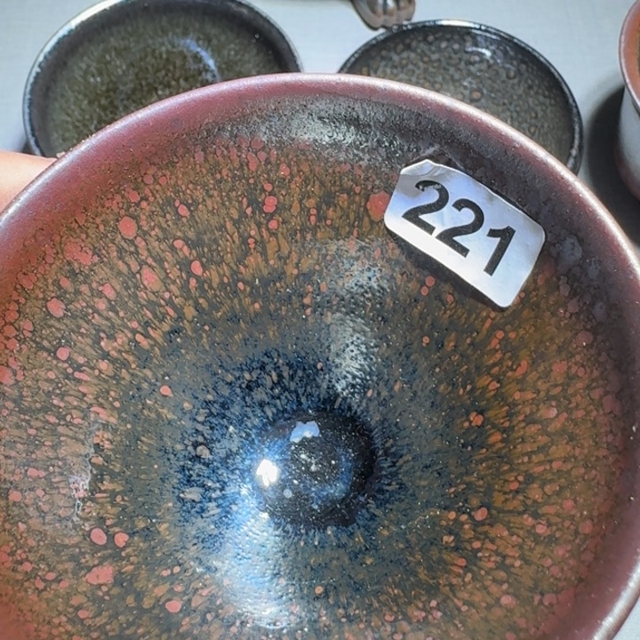 茶盏提出解决农村留守学生入学