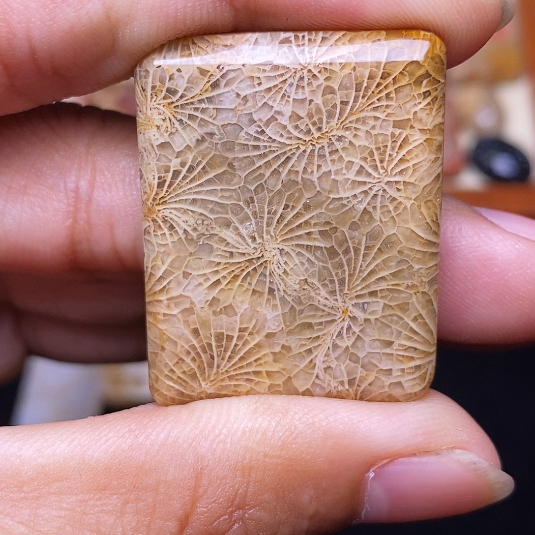 爱****硅化玉合金珊瑚玉
