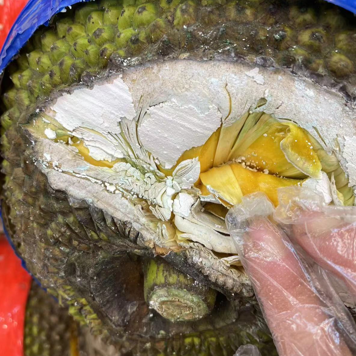 菠萝蜜整果2.98元 一斤（一果一拍）