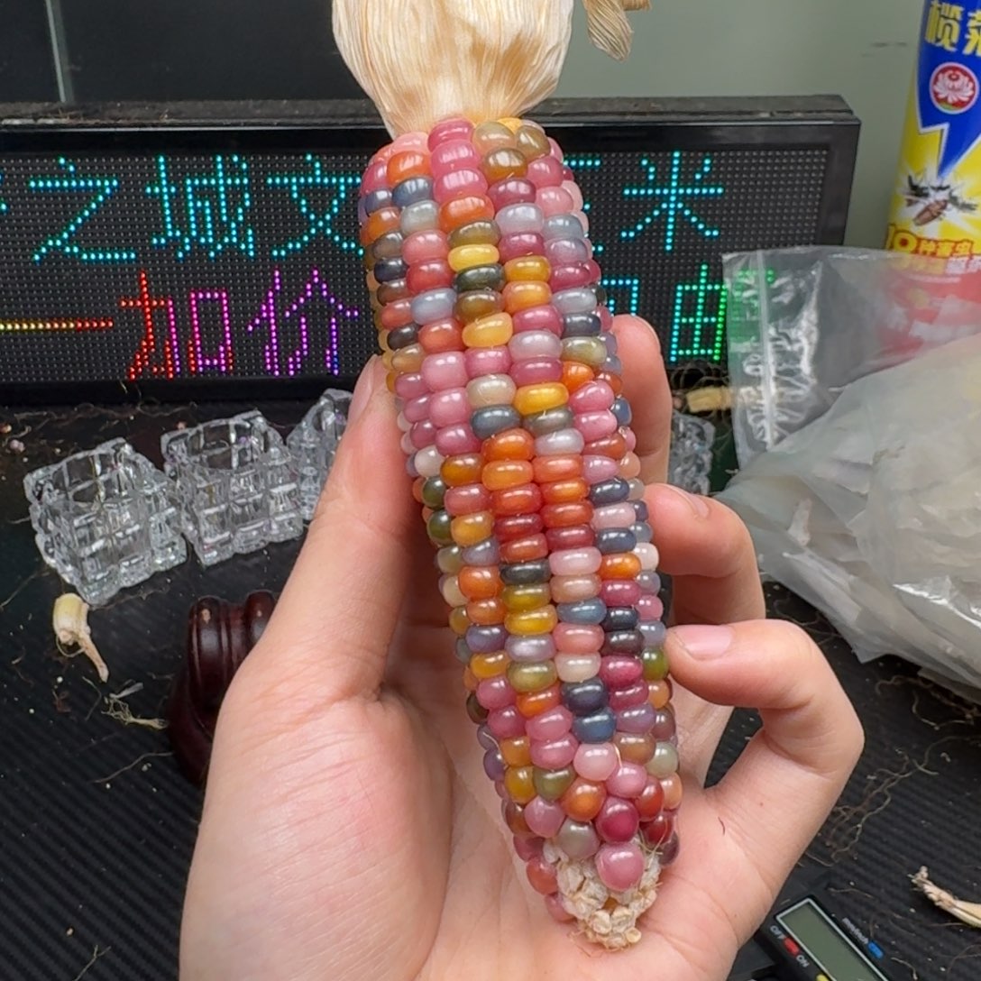 柏香籽/百香籽吊坠菲***活