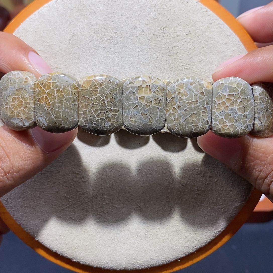 硅化珊瑚（珊瑚玉）手串未镶嵌绿色万花筒4