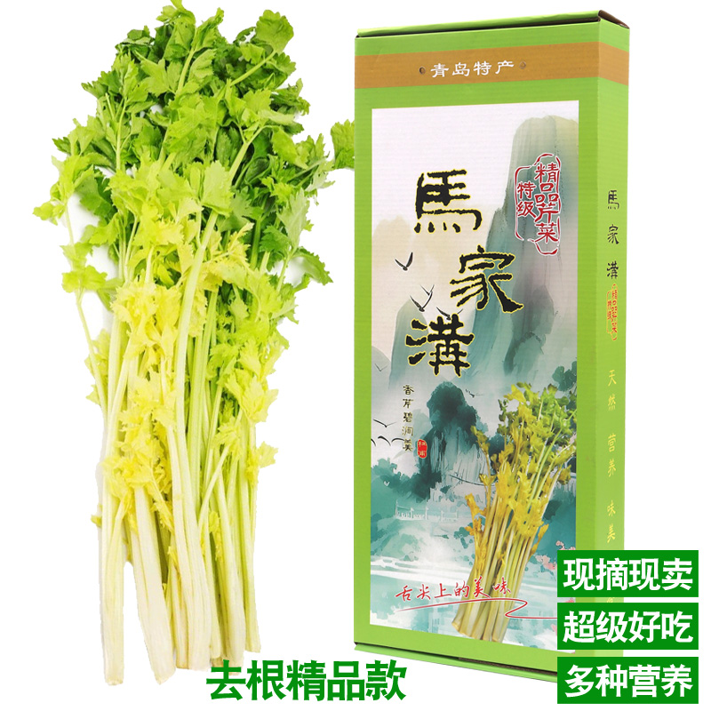 【去根精品】青岛平度特产正宗马家沟芹菜大叶黄空心芹菜新鲜芹菜芹菜