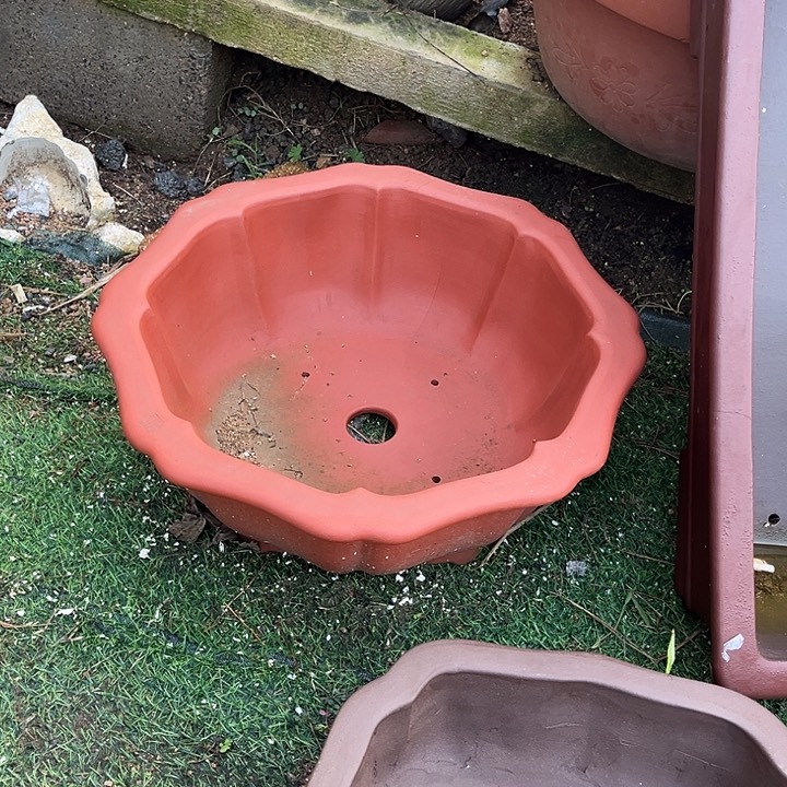 博***景宜兴紫砂莲花小号