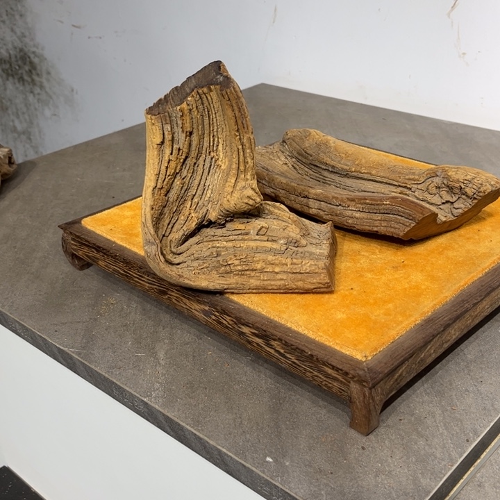 凝***空柏木崖柏等自然景区和森林资源