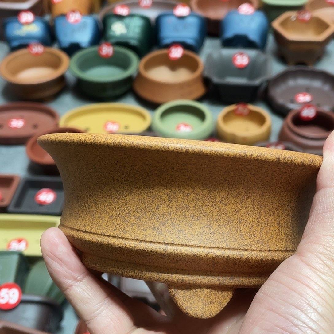 紫砂小盆11*4.5cmmmmm