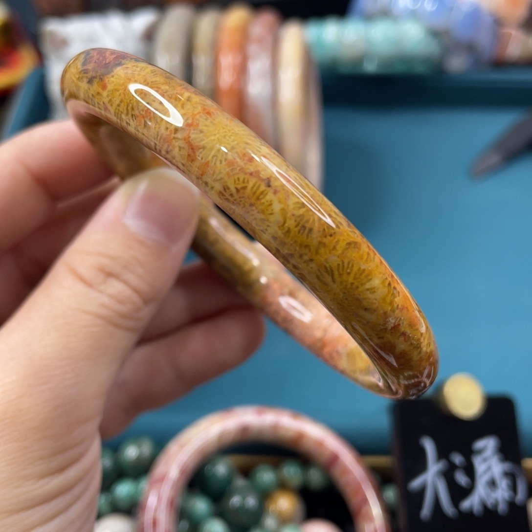 未镶嵌手镯硅化玉