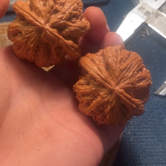 吊坠桃核全品粗筋45