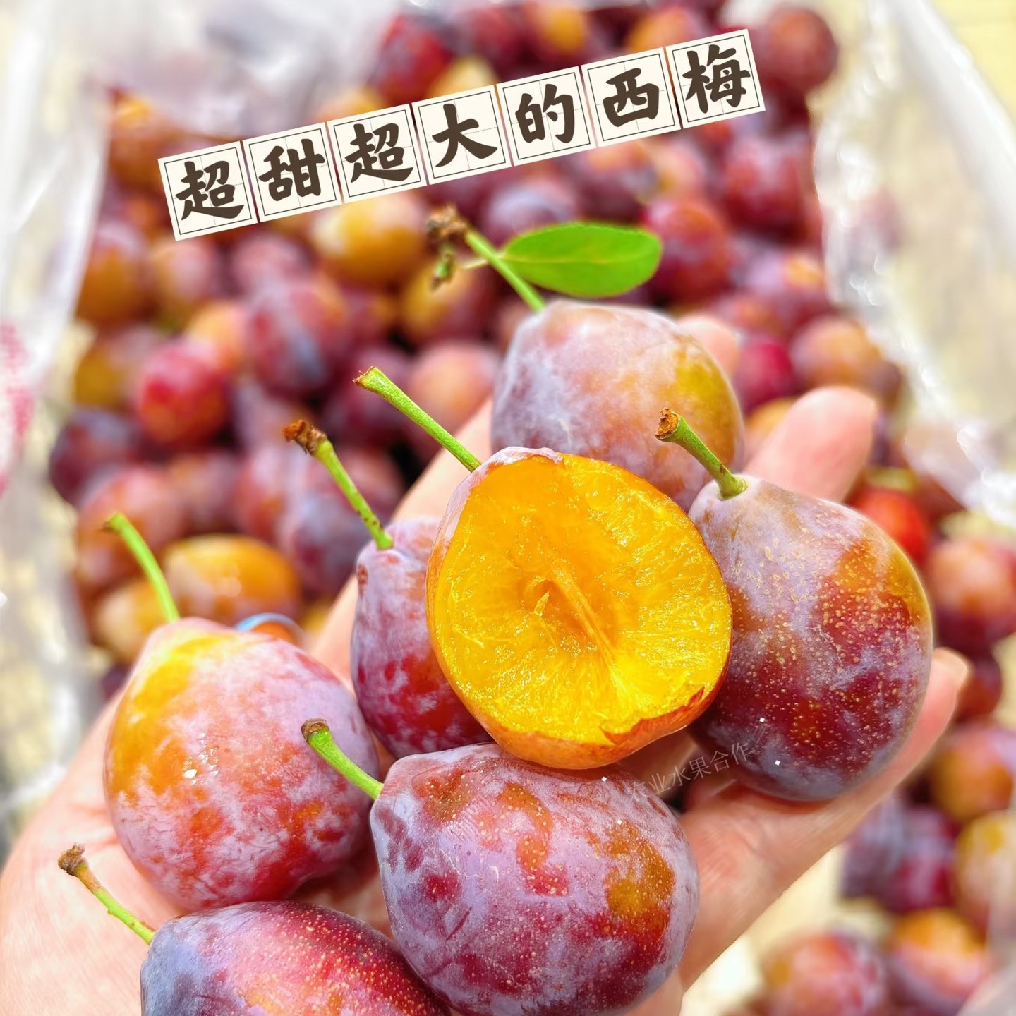 新疆喀什西梅一筐