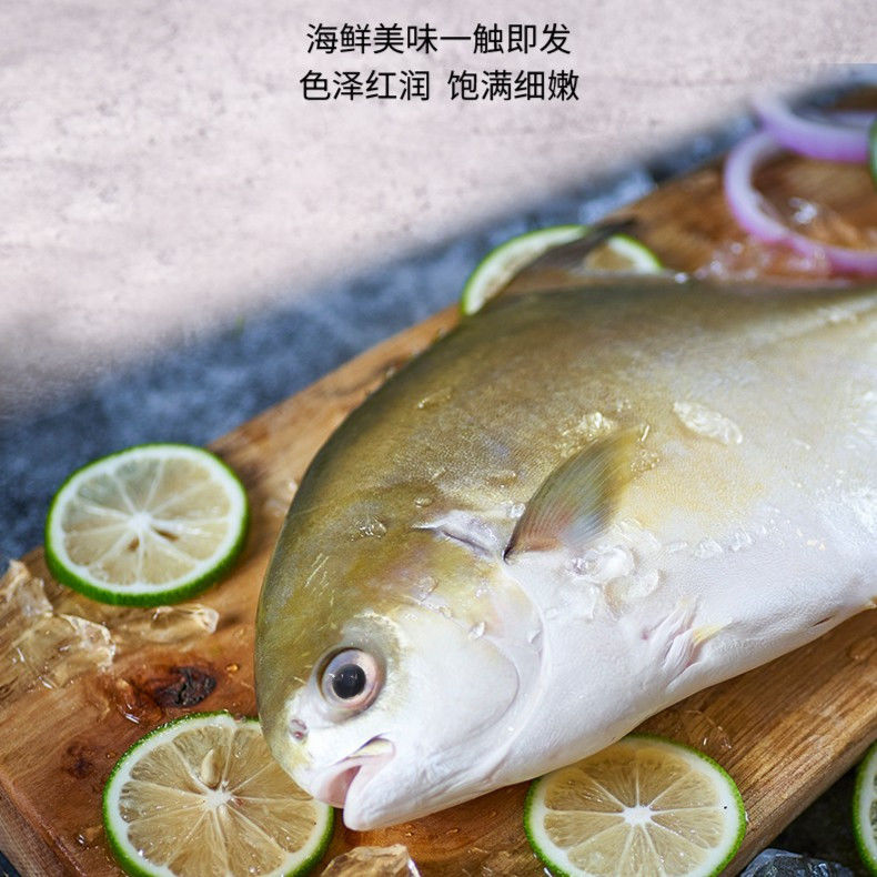 龙门水产南海大鲳鱼金鲳鱼400g绿色捕捞肉质鲜美