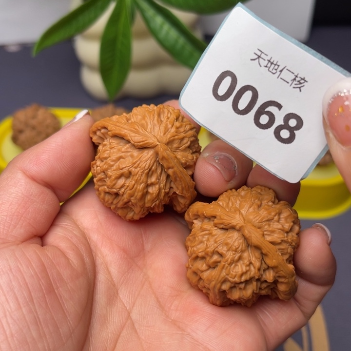 文玩核桃把件40白狮子68