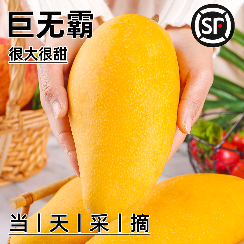 大芒果树上熟金煌芒果海南三亚水仙芒应季大青芒新鲜香甜鲜嫩多汁