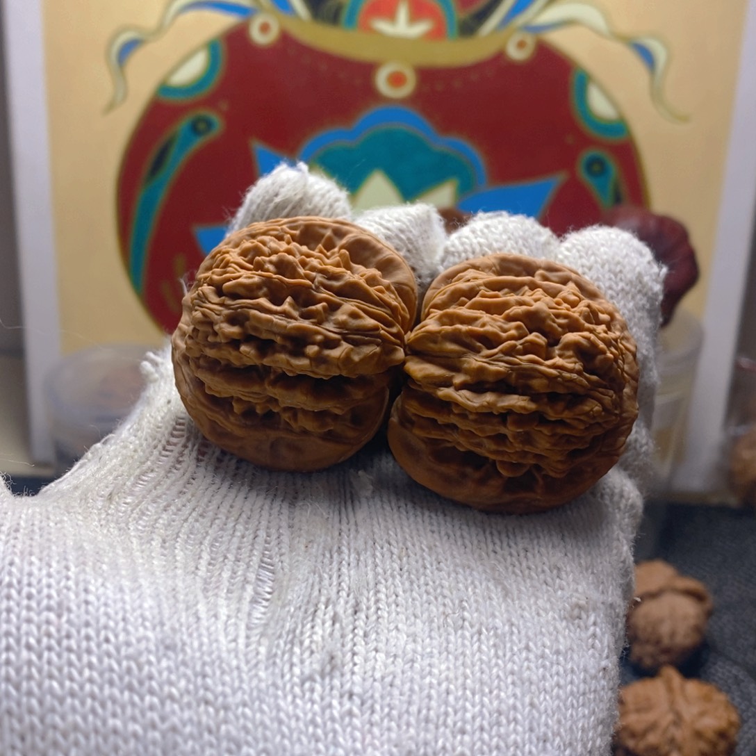 核桃熊儿寨一代楼43尺46.6克