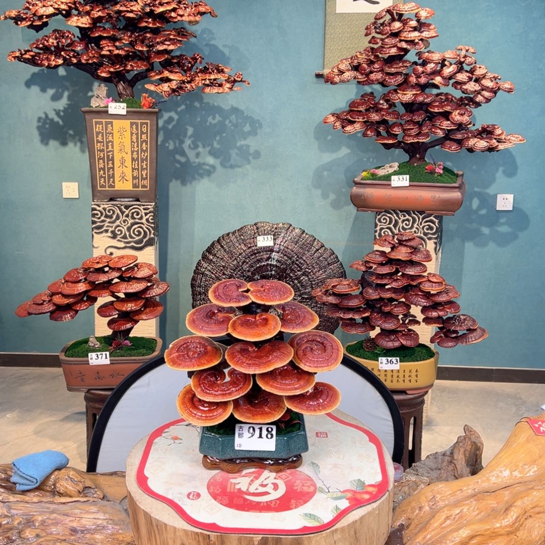 谢***下无花朵868888888888