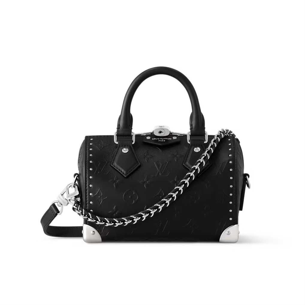 全新未使用 LouisVuitton/路易威登 speedy TRUNK 20 枕头包 全套