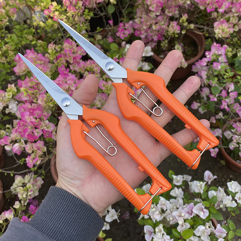 摘果剪花枝修剪修枝修花树剪刀修枝剪剪树枝花剪强力剪枝专用剪刀