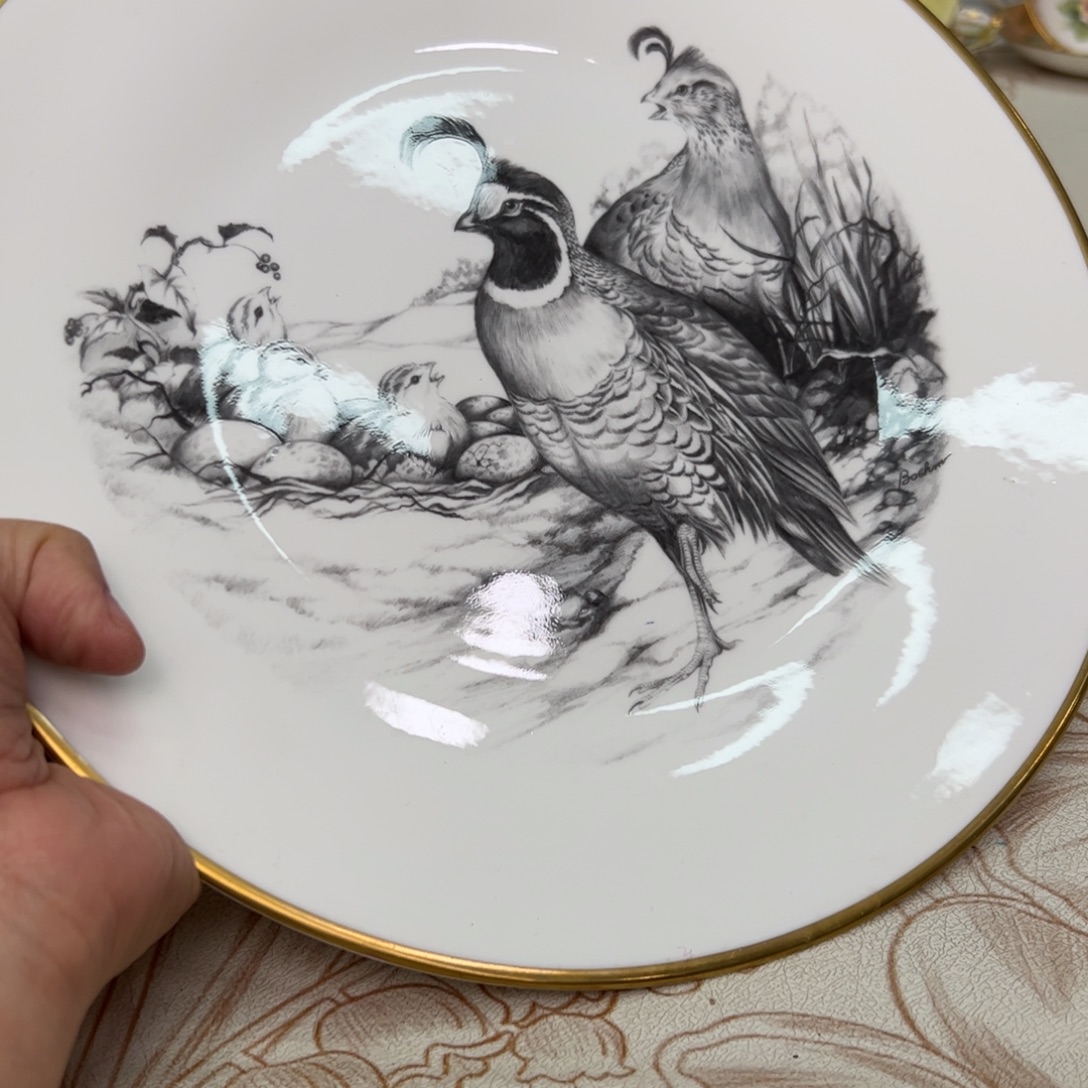 杯维多利亚欧洲中古