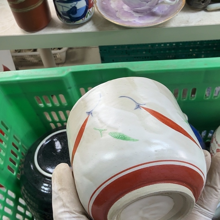 杯开播啦…开播啦