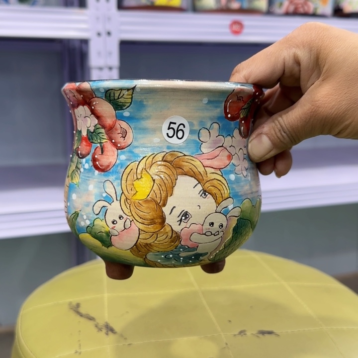 田小姐多肉花盆1个