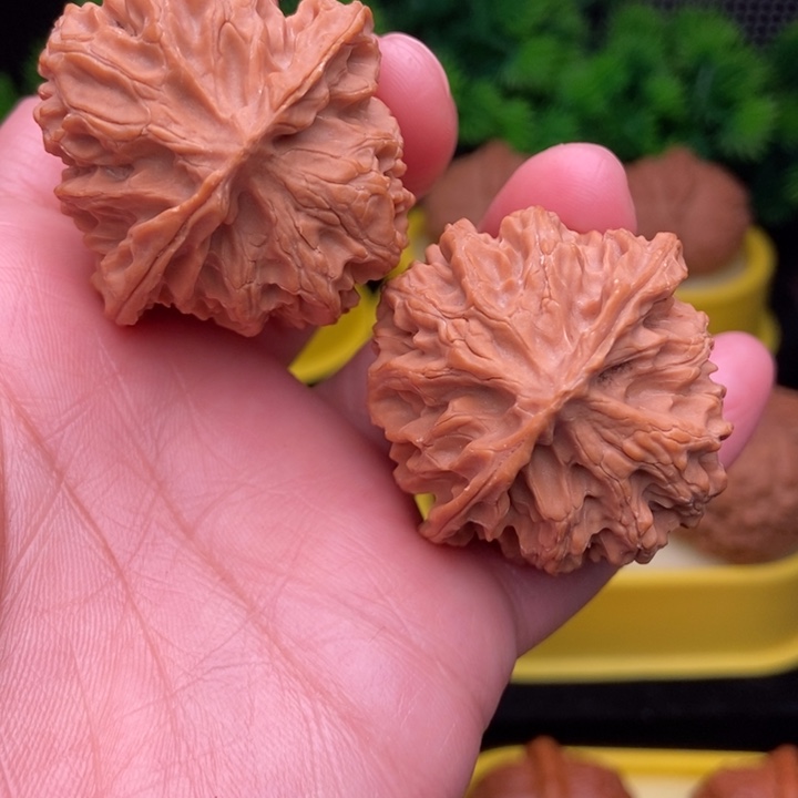 苹果园40.5全品11111