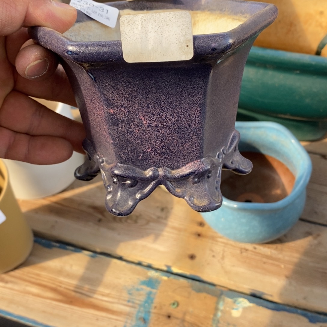 31号东云花盆内11高9.5