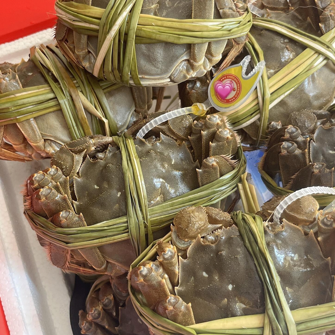 鲜活江苏大闸蟹 3两母蟹6只