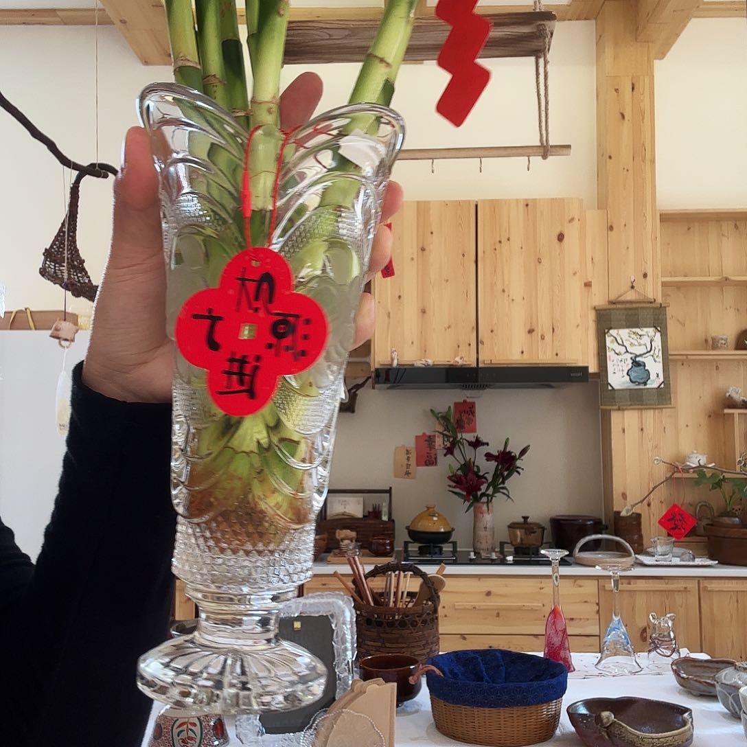 杯亮亮亮亮亮亮亮亮了