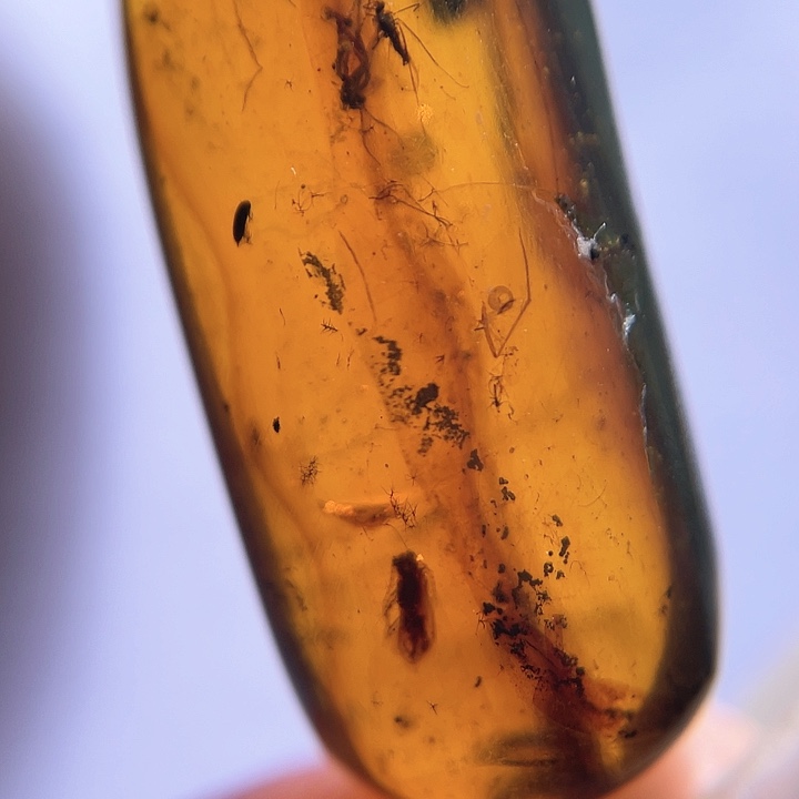 琥珀裸石未镶嵌。