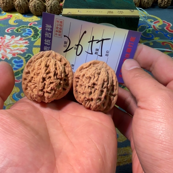 大***准小猫小猫小猫小猫