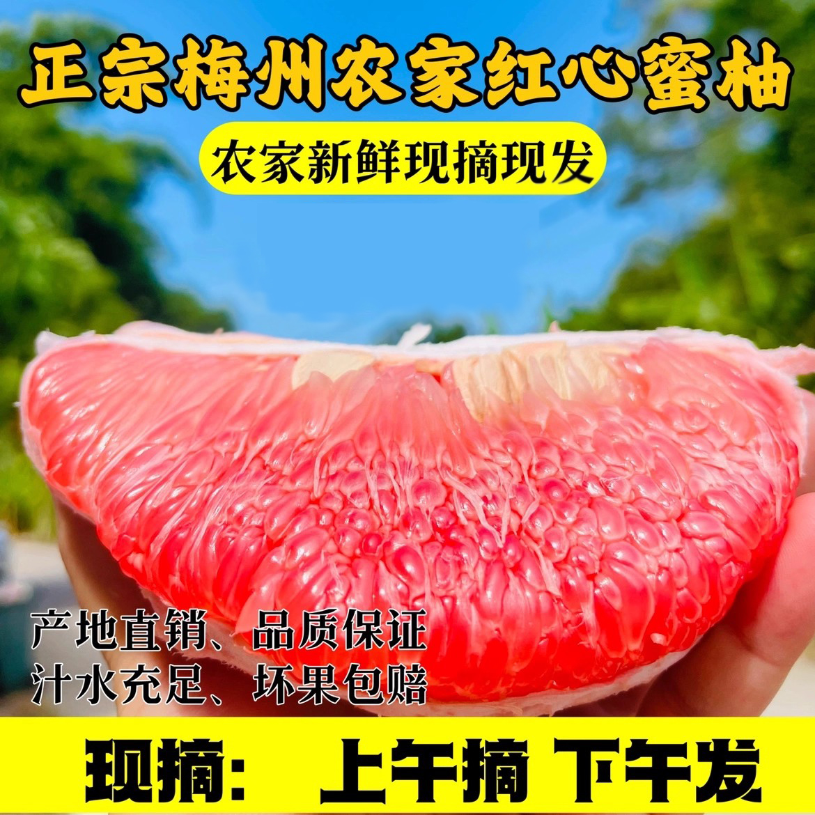 正宗梅州红心蜜柚