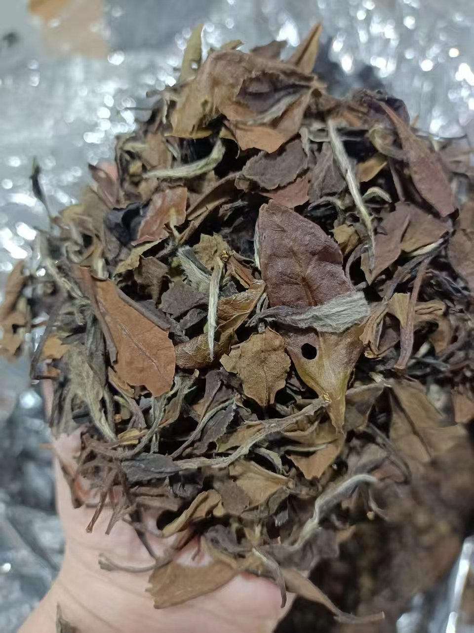 【福禄春寿眉】茶偏碎 福鼎白茶老白茶2010年日晒春寿眉散茶