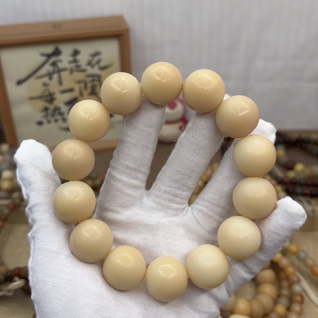 吊坠菩提根/象牙果20干磨瑕疵落地果307