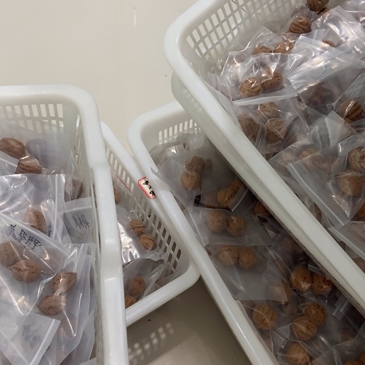 吊坠文玩核桃一单5对秋子