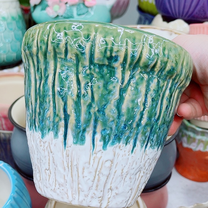 多肉植物陶瓷花盆