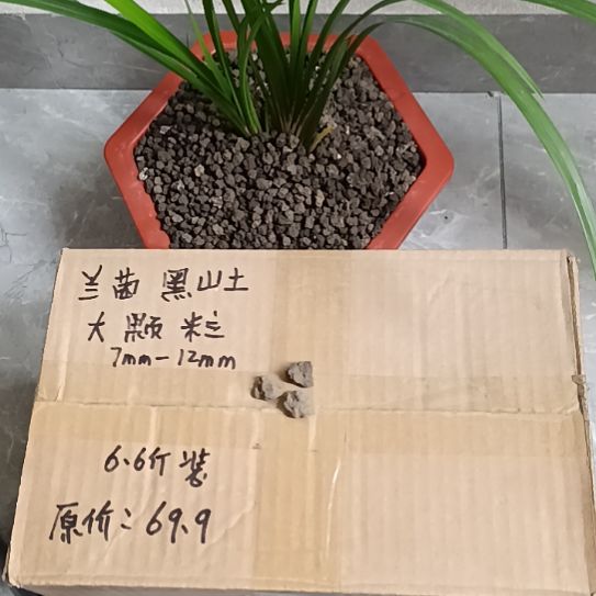 所***得兰菌黑山土大颗粒6.6斤