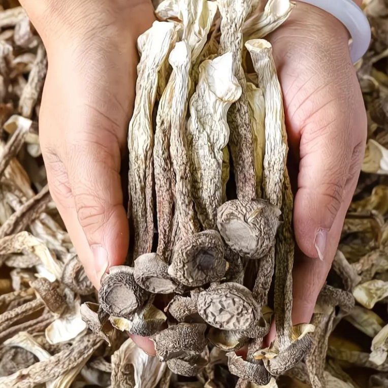 脆脆菇 鱼胶【嫂子专属】