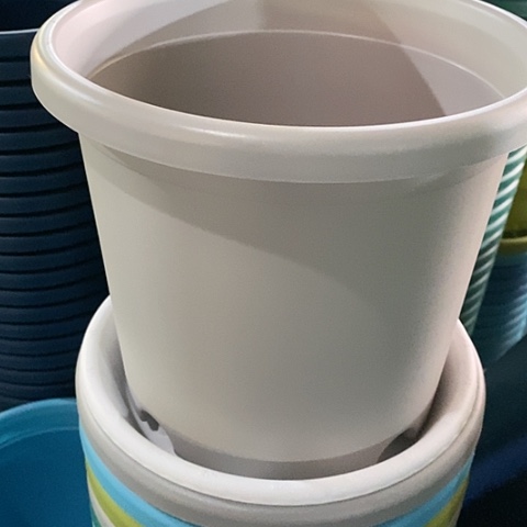 树脂4#无托灰白8个